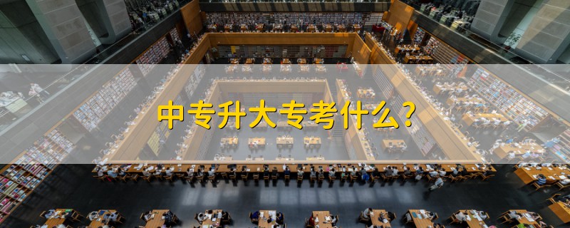 中專升大?？际裁?