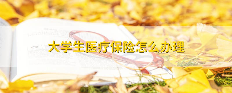 大學(xué)生醫(yī)療保險(xiǎn)怎么辦理