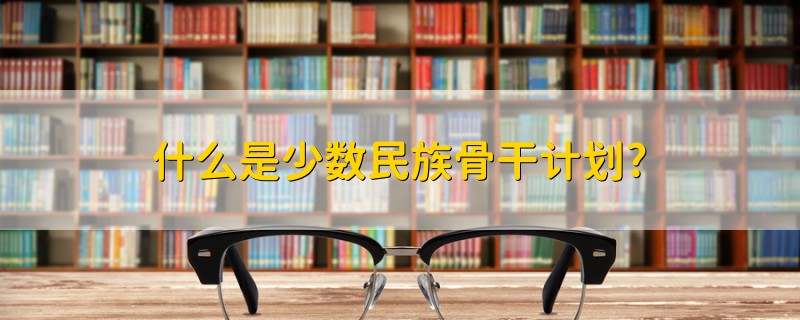 什么是少數(shù)民族骨干計(jì)劃?