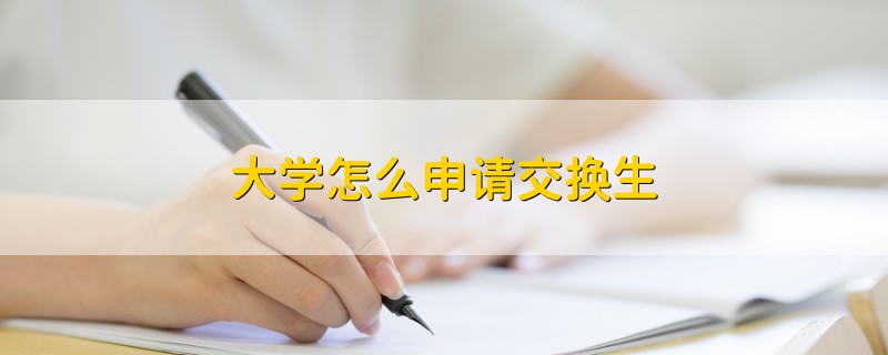 大學(xué)怎么申請(qǐng)交換生