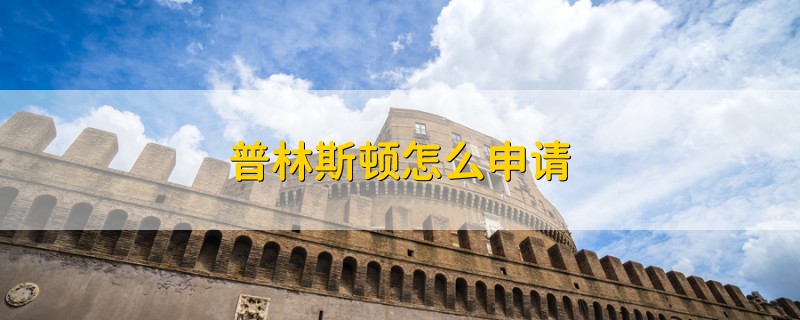 普林斯頓怎么申請(qǐng)