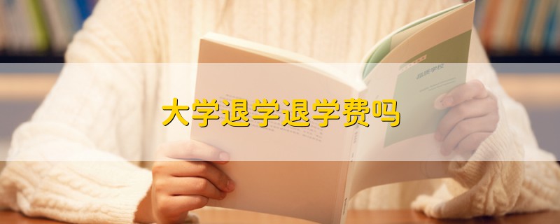 大學(xué)退學(xué)退學(xué)費嗎