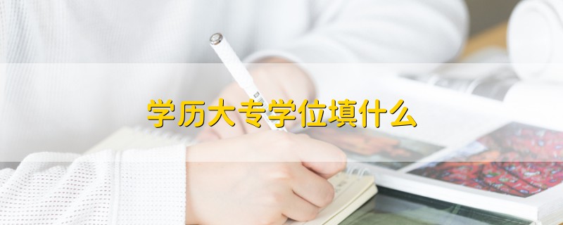 學歷大專學位填什么
