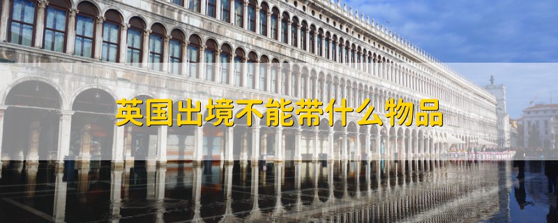 英國出境不能帶什么物品