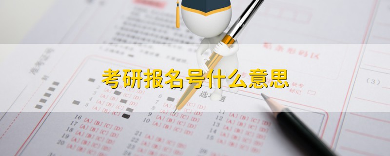 考研報名號什么意思