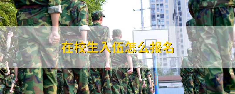 在校生入伍怎么報名