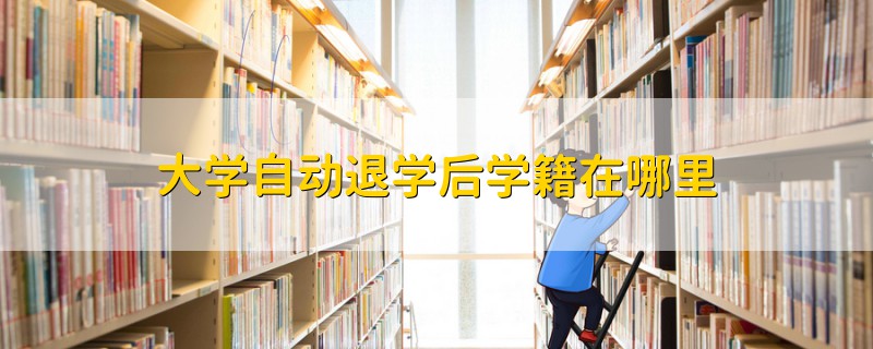 大學(xué)自動(dòng)退學(xué)后學(xué)籍在哪里