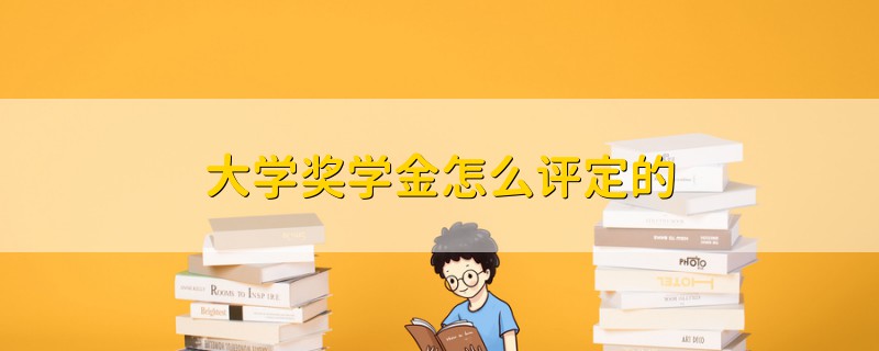 大學(xué)獎(jiǎng)學(xué)金怎么評定的