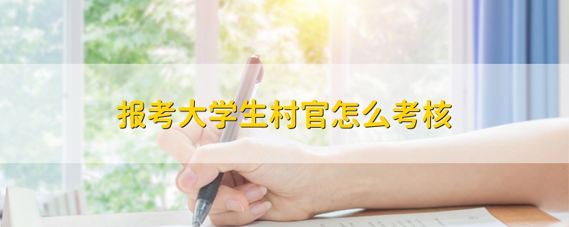報(bào)考大學(xué)生村官怎么考核