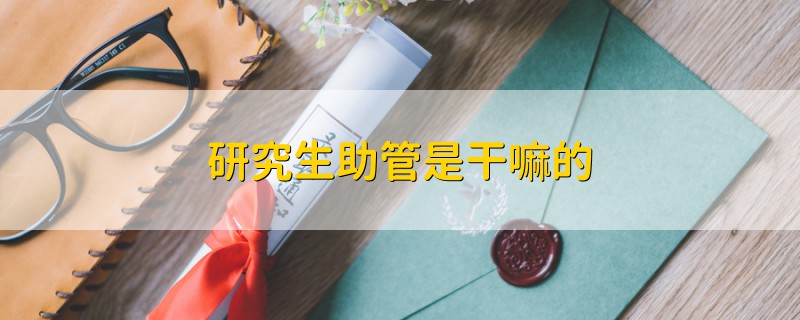 研究生助管是干嘛的