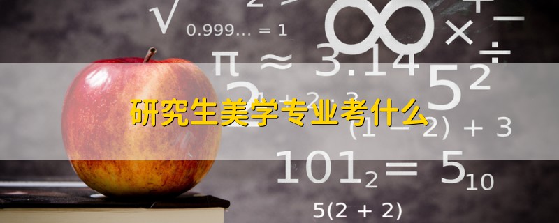 研究生美學(xué)專業(yè)考什么