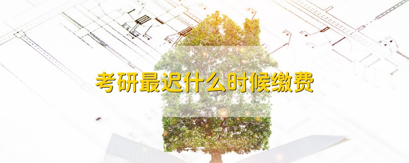 考研最遲什么時候繳費