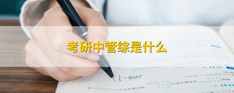 考研中管綜是什么