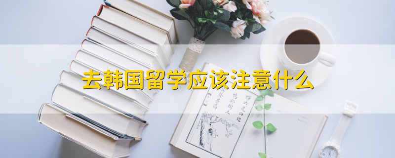 去韓國(guó)留學(xué)應(yīng)該注意什么