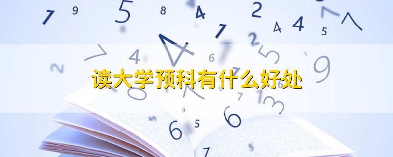 讀大學(xué)預(yù)科有什么好處