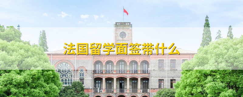 法國留學面簽帶什么