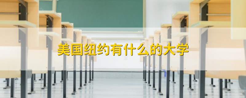 美國紐約有什么的大學
