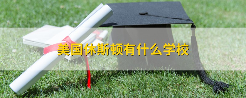 美國休斯頓有什么學(xué)校