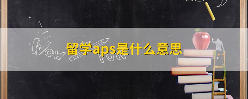 留學(xué)aps是什么意思