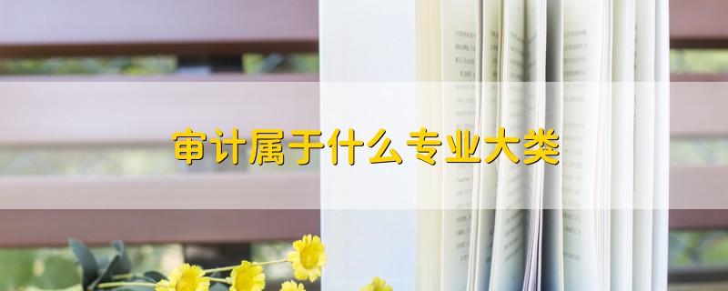 審計屬于什么專業(yè)大類