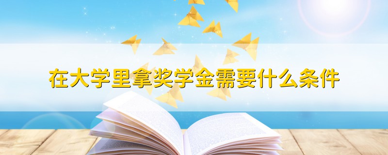 在大學(xué)里拿獎(jiǎng)學(xué)金需要什么條件