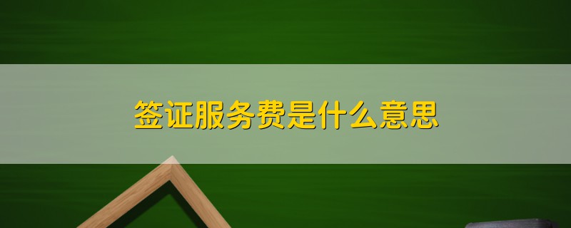 簽證服務(wù)費(fèi)是什么意思