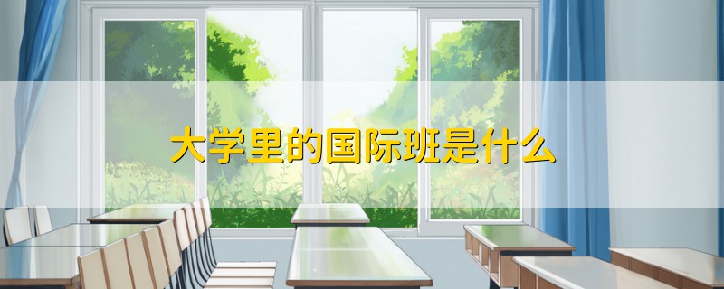 大學里的國際班是什么