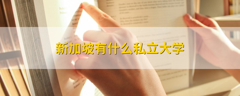 新加坡有什么私立大學(xué)