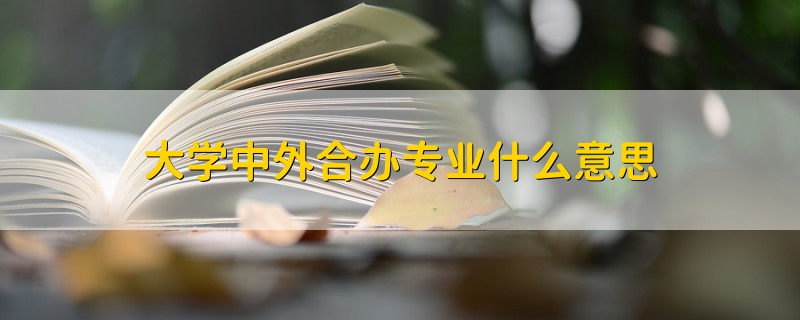 大學中外合辦專業(yè)什么意思