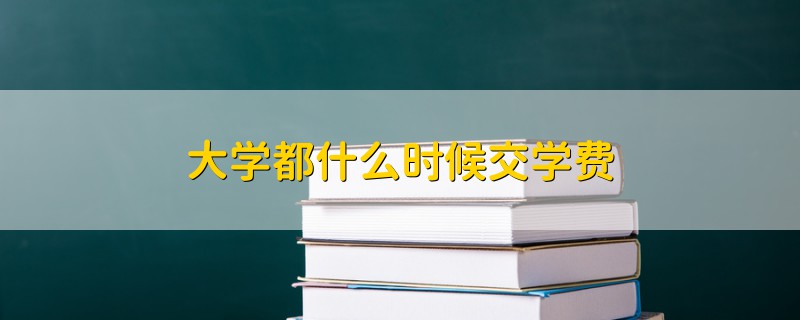 大學都什么時候交學費