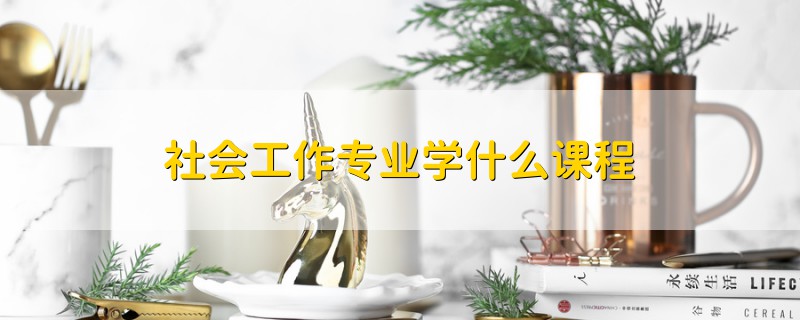 社會工作專業(yè)學什么課程