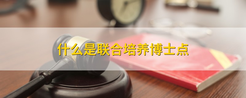 什么是聯(lián)合培養(yǎng)博士點(diǎn)
