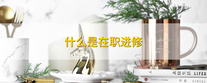 什么是在職進修
