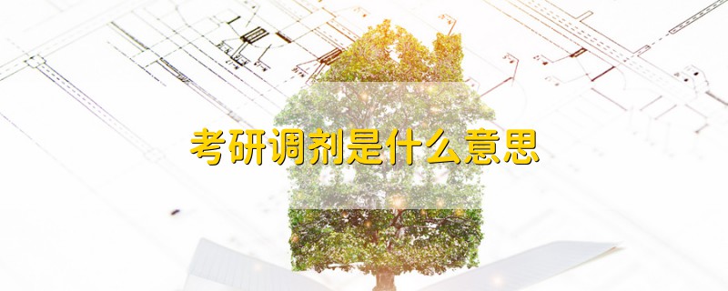 考研調劑是什么意思