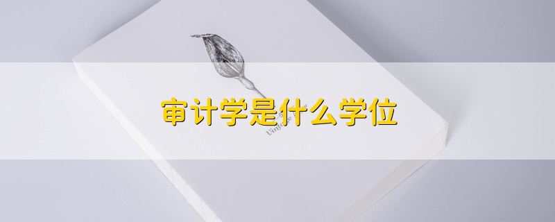 審計(jì)學(xué)是什么學(xué)位