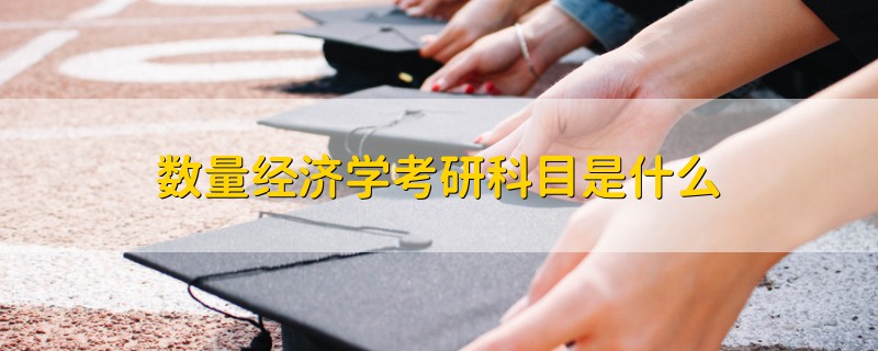 數(shù)量經(jīng)濟(jì)學(xué)考研科目是什么