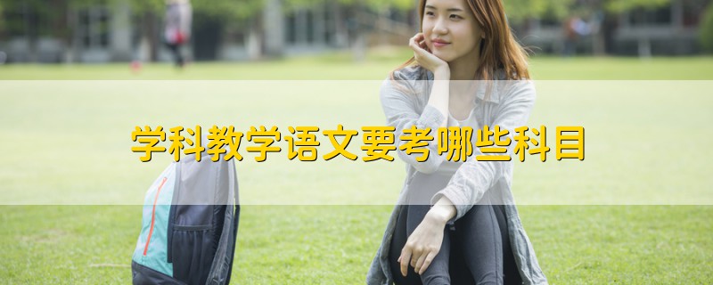 學科教學語文要考哪些科目