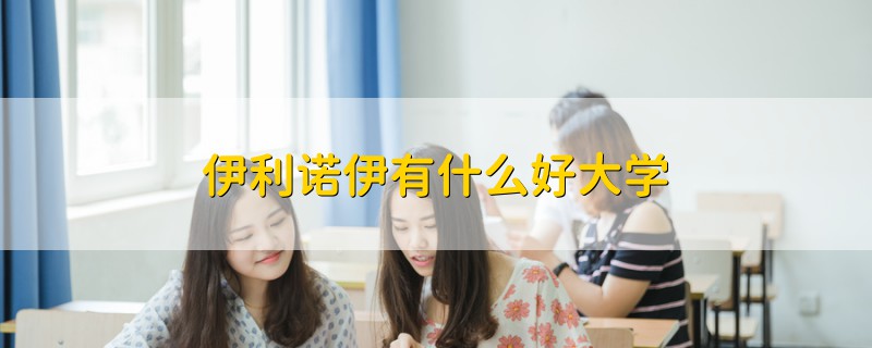 伊利諾伊有什么好大學