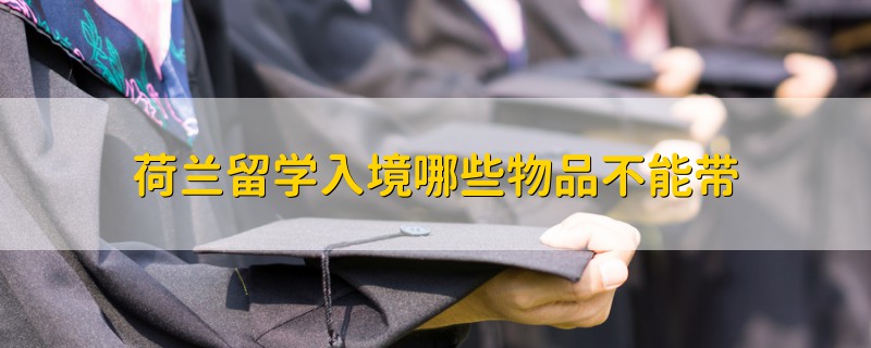 荷蘭留學(xué)入境哪些物品不能帶