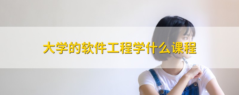 大學(xué)的軟件工程學(xué)什么課程