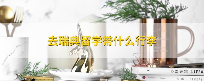 去瑞典留學(xué)帶什么行李