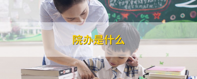 院辦是什么
