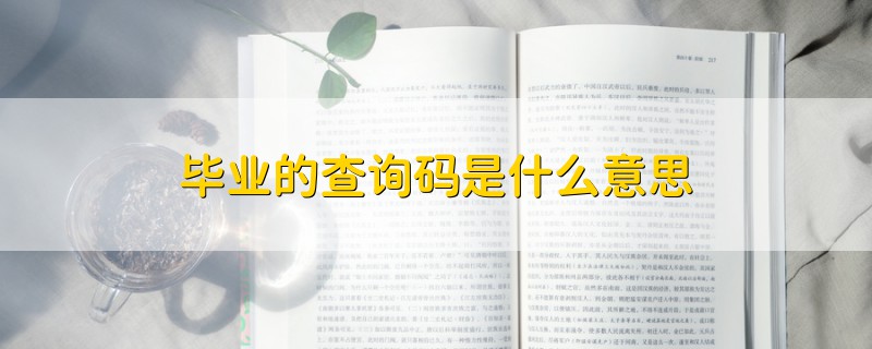 畢業(yè)的查詢碼是什么意思