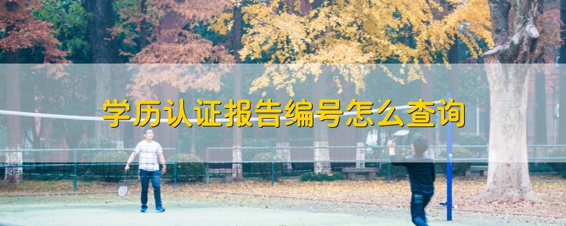 學(xué)歷認(rèn)證報(bào)告編號(hào)怎么查詢
