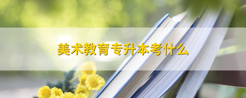 美術(shù)教育專升本考什么