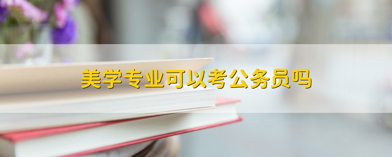 美學(xué)專業(yè)可以考公務(wù)員嗎