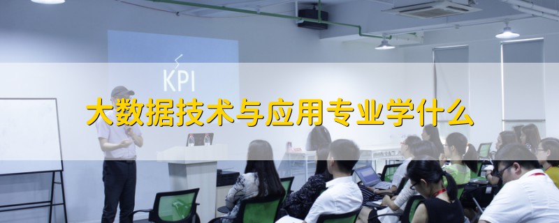 大數(shù)據(jù)技術(shù)與應用專業(yè)學什么