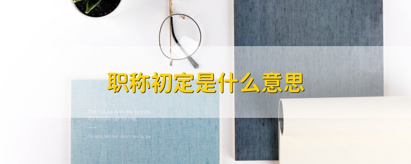 職稱初定是什么意思