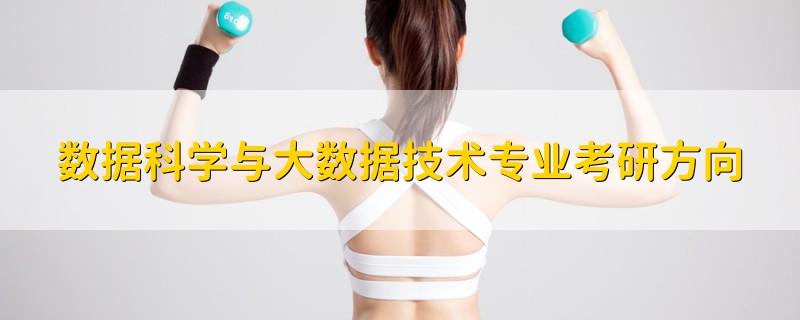 數(shù)據(jù)科學(xué)與大數(shù)據(jù)技術(shù)專業(yè)考研方向