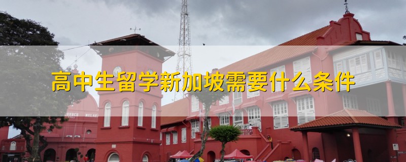 高中生留學(xué)新加坡需要什么條件